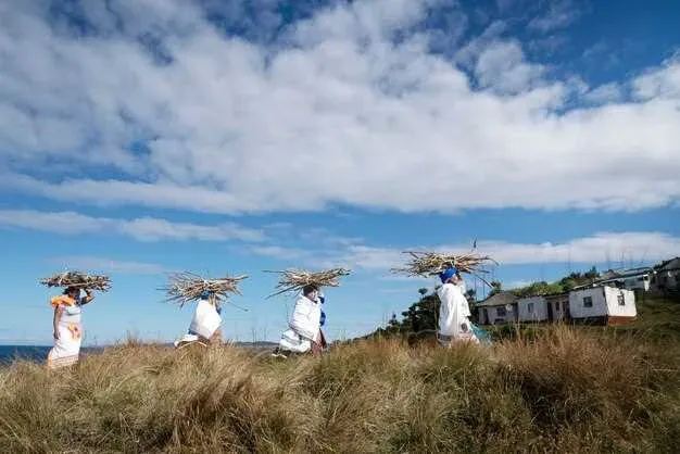 Die skandinavische Besiedlung - Ursprünge, Geschichte und Kultur