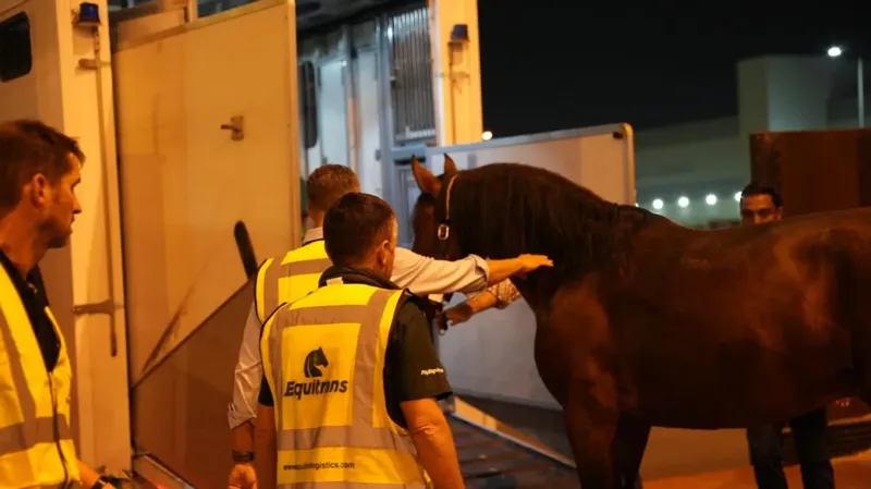 Hinter den Kulissen von Equitrans' präziser Pferde-Logistik für den Start der Reitkunst in Abu Dhabi