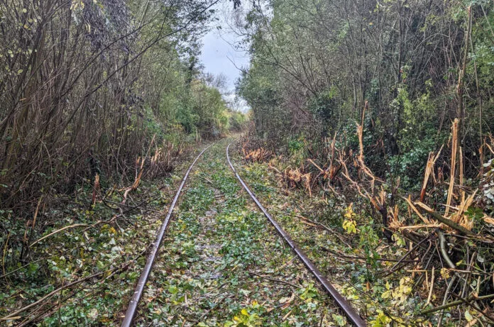 Key Developments in Reactivating the Limerick to Foynes Rail Freight Corridor