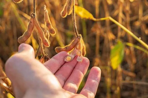 Coordinación de empresas del Reino Unido y la UE: defensa y alineación de políticas con Brasil