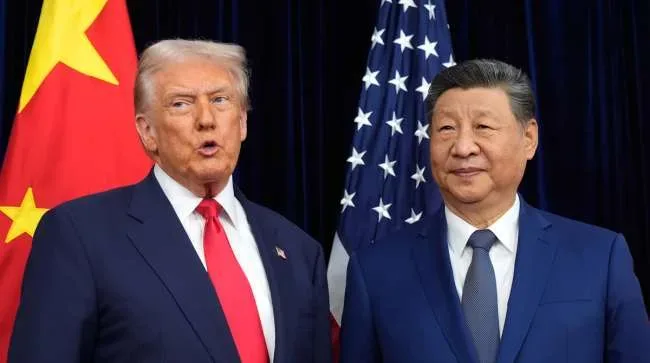 US-China Soybean Market Experiences Halt After Early Uptick, Affecting Global Shipping and Delivery