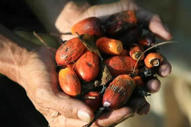 Aussetzung ausgewählter Exportgenehmigungen: Umfang, Kriterien und Exporteure