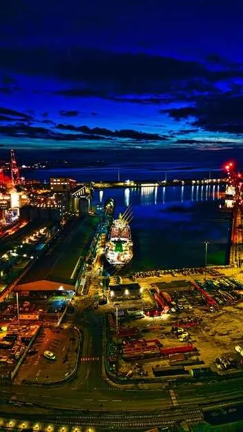 How to restructure port investment priorities to clear backlog fast?