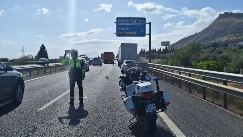 Nepăsare pe șosea: Evadarea de mare viteză a unui șofer de camion pe A-92