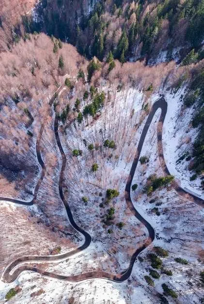 Escenarios de Flujo de Comercio y Tránsito para el Corredor del Cáucaso